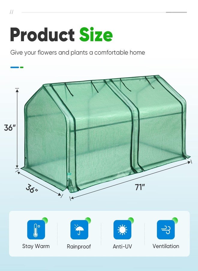Quictent Mini Greenhouse, Portable Quick-Setup Small Tabletop Waterproof UV Protected PE Cover Shelter for Outdoors/Indoors W/ Raised Base for Garden Plant Seed Starting, 71"x36"x36", Green - Image 3